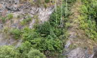 Queenstown - Kawarau Bridge Bunge